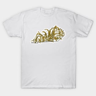 Kentucky and State Goldenrod T-Shirt